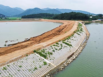 安慶菜子湖國家濕地公園生態護堤